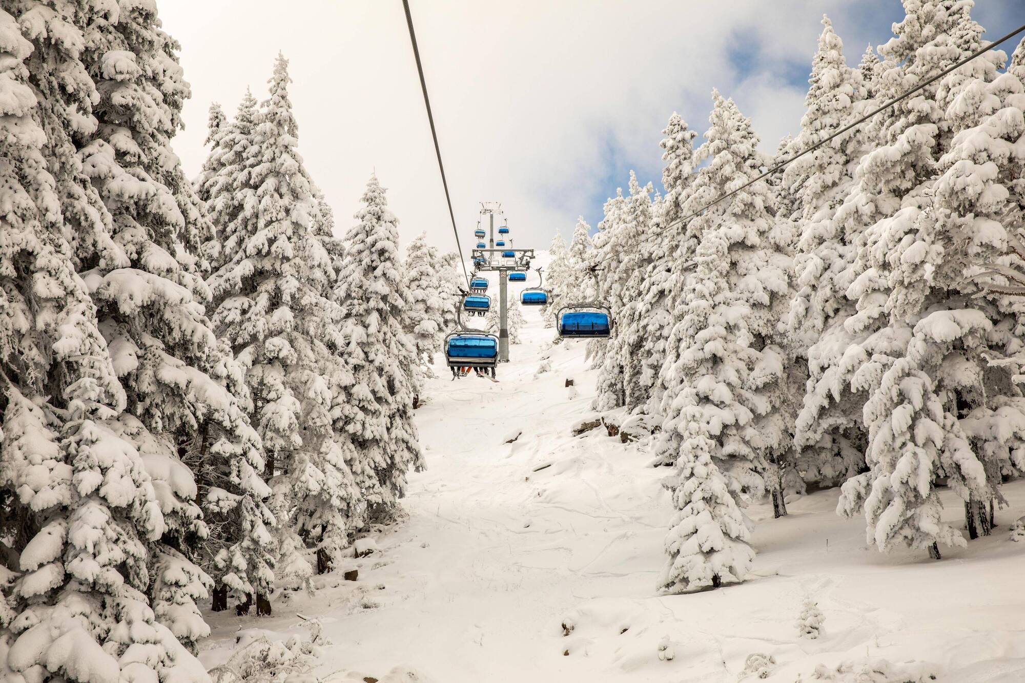 Dorukkaya Ski & Mountain Resort Bolu Kültér fotó